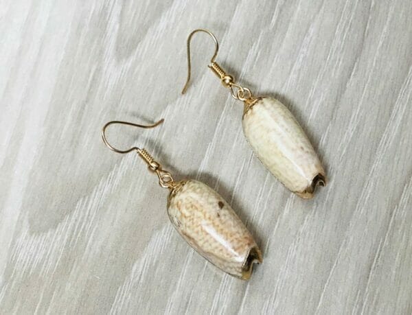 CowrieShellReallshellearrings Cowrie Sea Shell Earrings