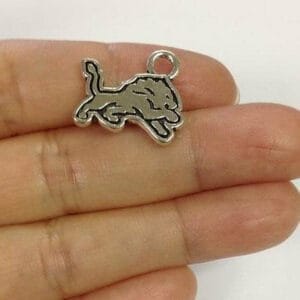 Sports Team Detroit Lion football charm wholesale