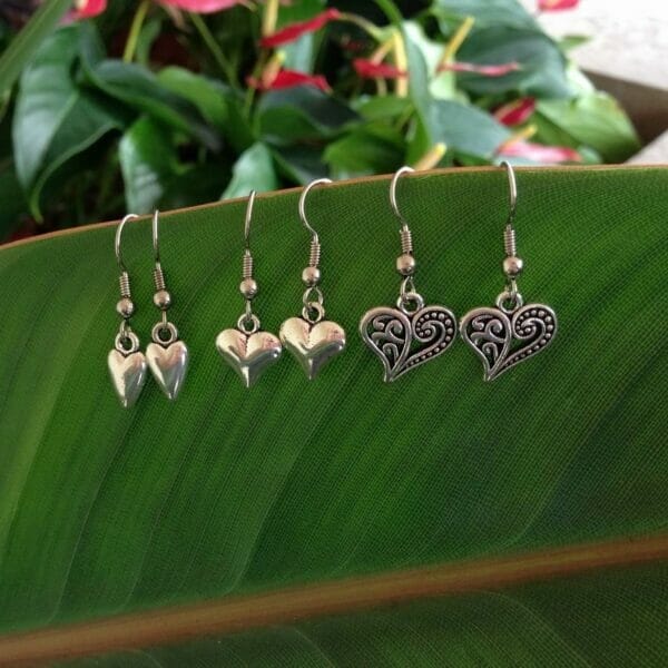 Earrings_Hearts_3_tyles Heart charms Earrings