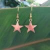 Star earrings