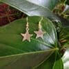 Star Earrings