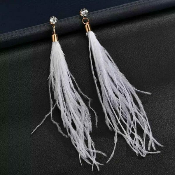 IMG_5704 Long Feather Earrings