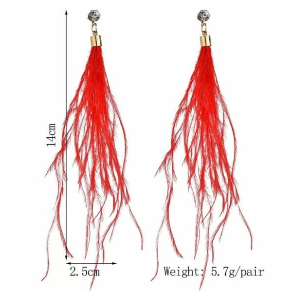 IMG_5705 Long Feather Earrings