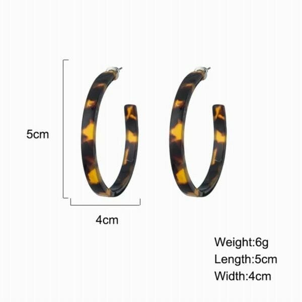 IMG_6703 boutique style hoop earrings wholesale
