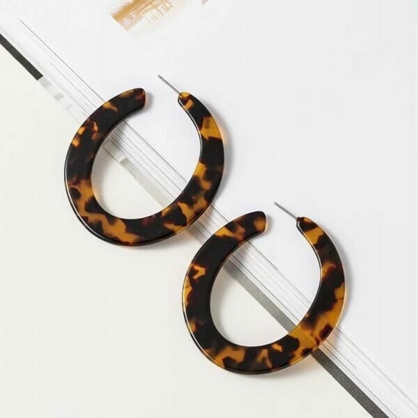 IMG_6704 Hoop Acetate Tortoise Shell earrings