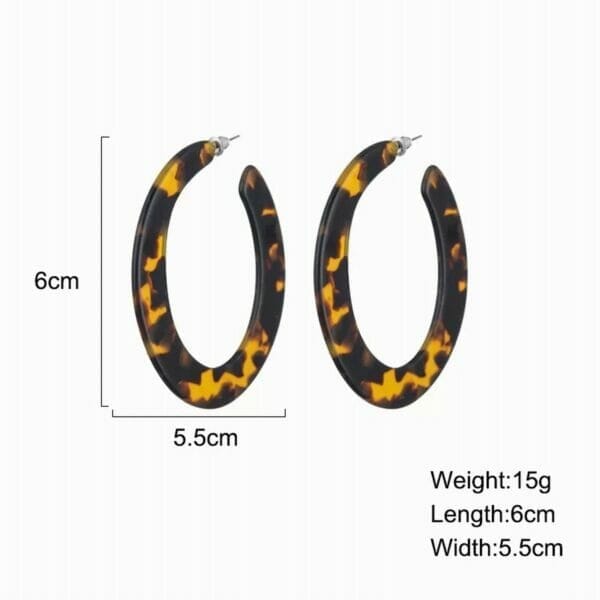 IMG_6707 Hoop Acetate Tortoise Shell earrings