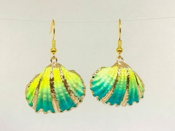 funkyshellearrings Costal shell jewelry earrings