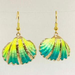 Costal shell jewelry earrings