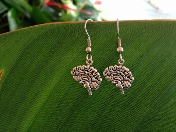 Human Organs Brain Earrings, Heart Earrings