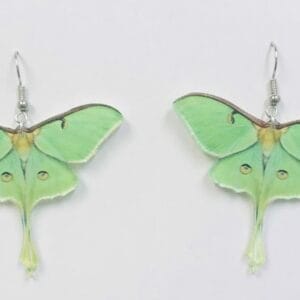 IMG_4649 Acrylic Green Moth Earrings, New Beginning Earrings