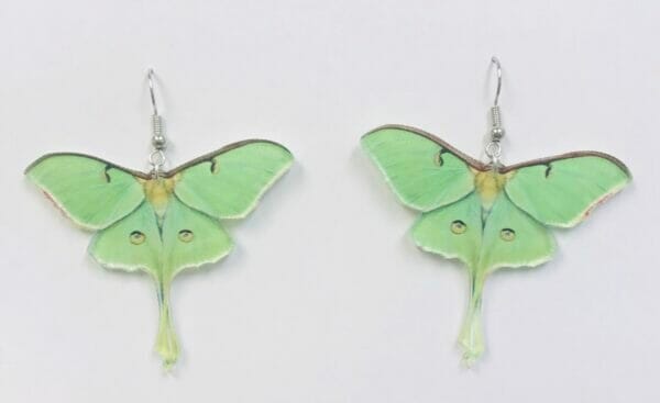 IMG_4649 Acrylic Green Moth Earrings, New Beginning Earrings